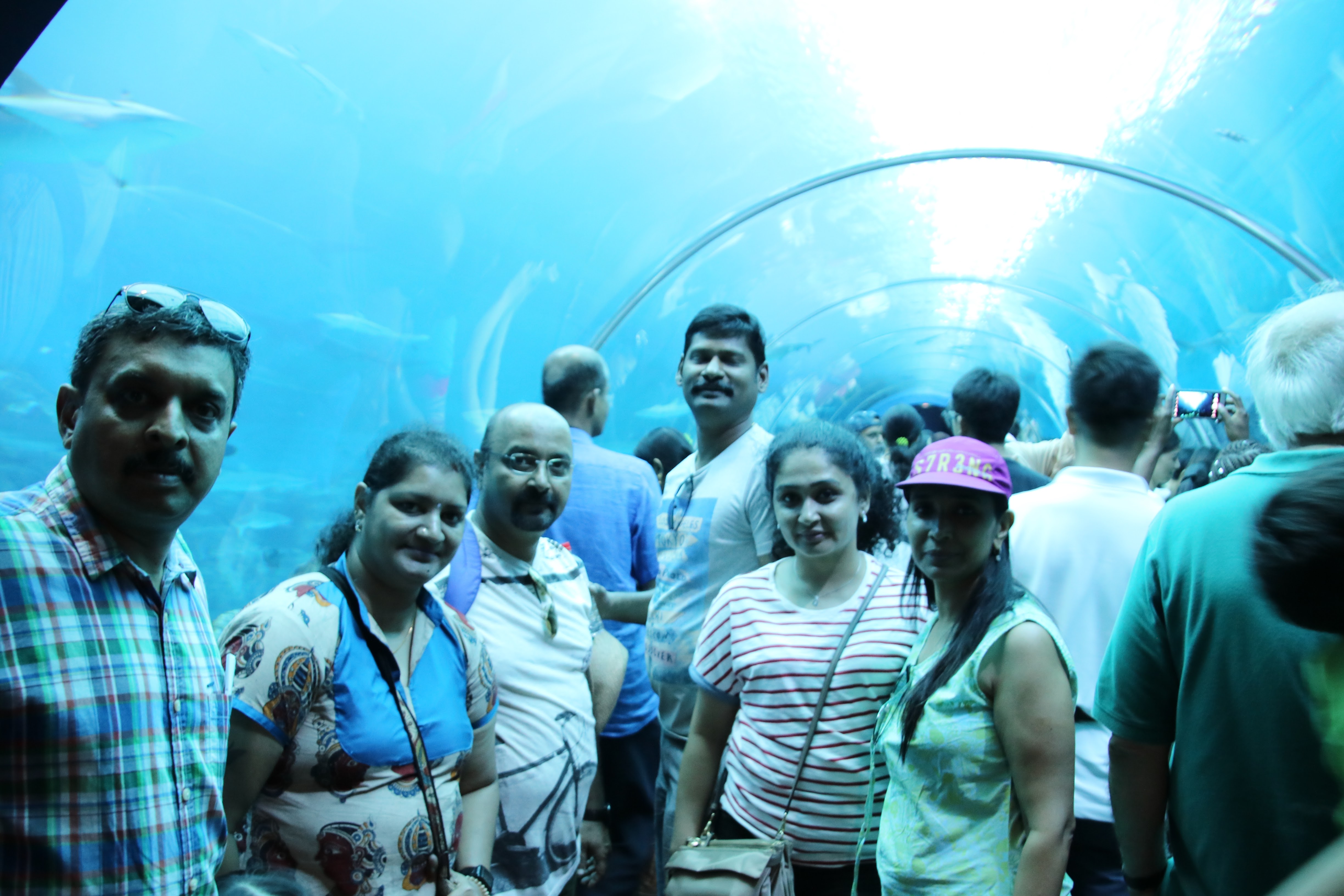 IMG 5121